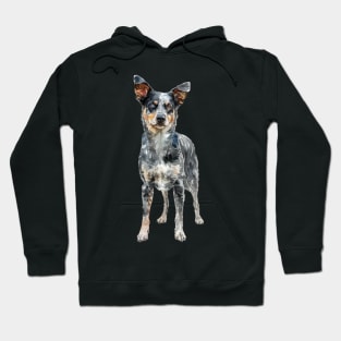 Australian Cattle Dog Hoodie